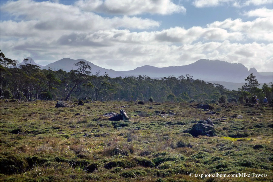 February Plains